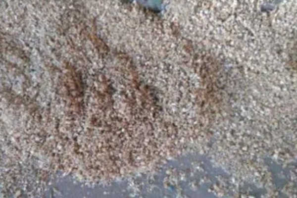 玉米芯怎么做饲料，首先要用粉碎机对玉米芯进行加工