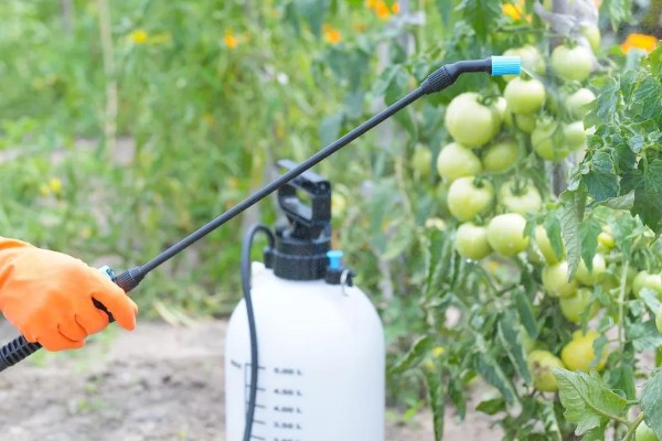 百菌清的使用方法，针对不同病害的防治方法不同