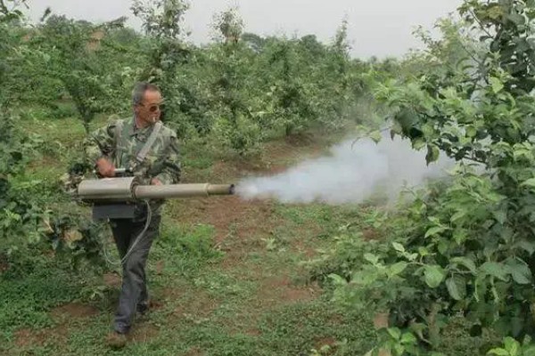 百菌清的使用方法，针对不同病害的防治方法不同