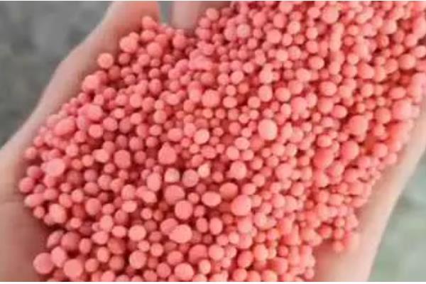 如何制作钾肥，可用果皮和菜叶制作