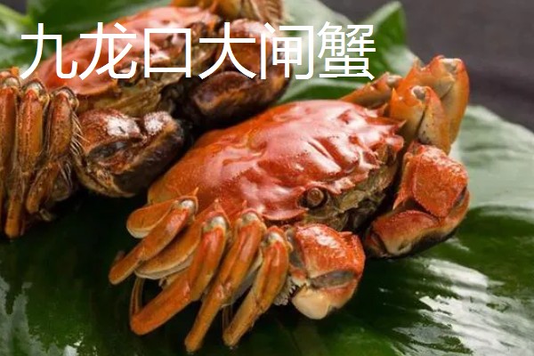 江苏省建湖县的特产,有建湖青虾、建湖草鸡等