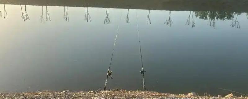 春季钓鱼用什么线组，钓大鱼使用2号主线、1.5号子线