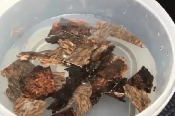 阿司匹林怎么浇兰花，生长期间隔一个月浇一次