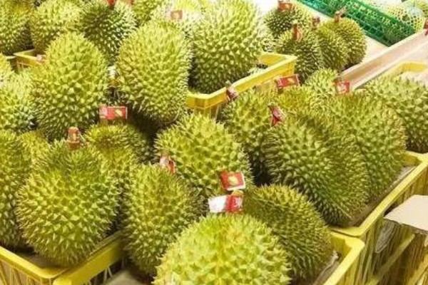 泰国有什么特色水果，山竹、榴莲等品种很具特色
