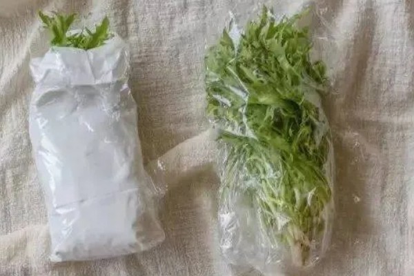 绿叶菜的保存方法，用保鲜膜包裹可延长保鲜期