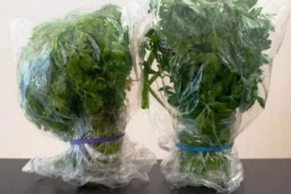 绿叶菜的保存方法，用保鲜膜包裹可延长保鲜期