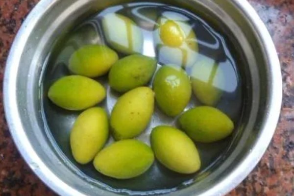 橄榄喜阴吗，属于喜阳作物