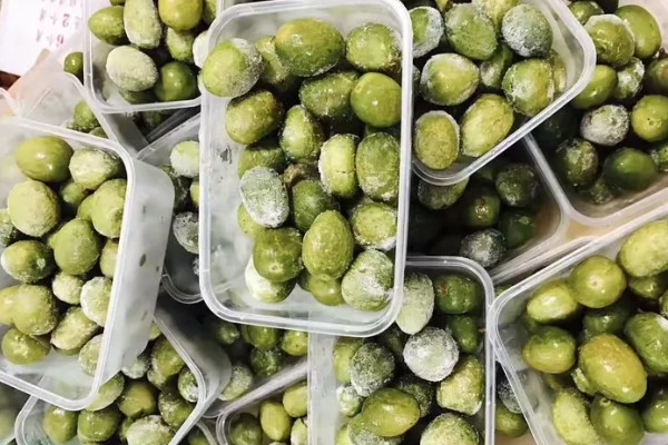 橄榄喜阴吗，属于喜阳作物