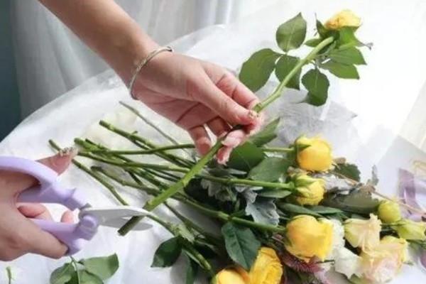 冬天做干花所需时间，晾晒7-15天就会变干