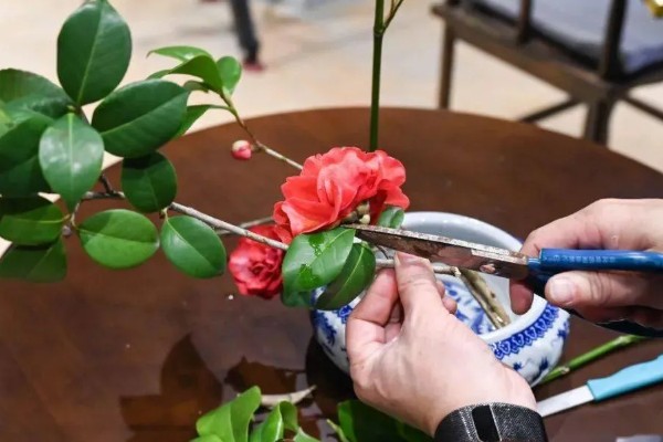 冬天做干花所需时间，晾晒7-15天就会变干