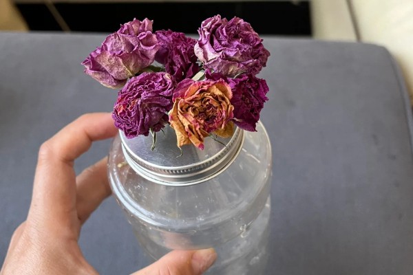 冬天做干花所需时间，晾晒7-15天就会变干