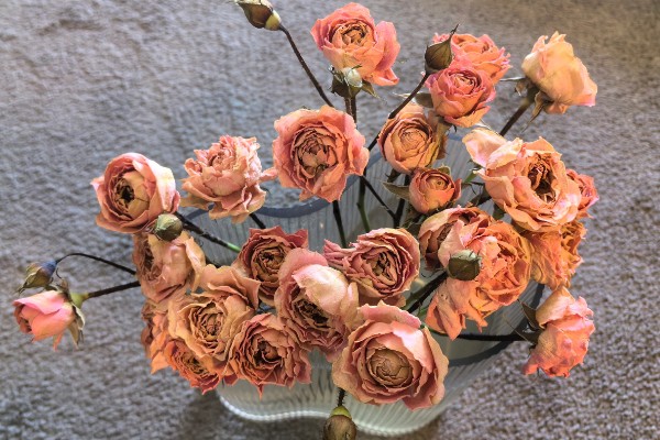 冬天做干花所需时间，晾晒7-15天就会变干