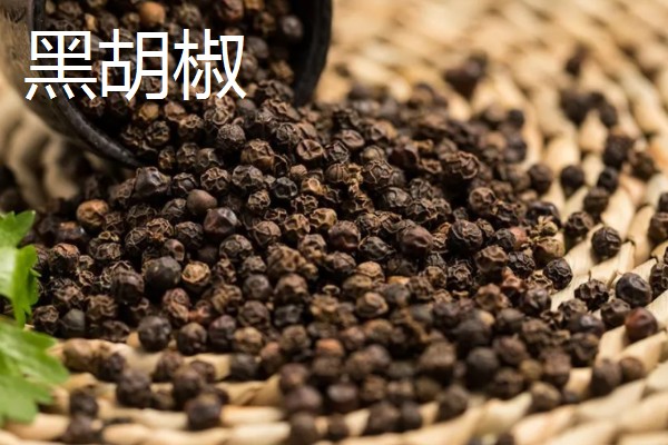 白胡椒和黑胡椒有什么区别，工艺、外观、气味等方面不同