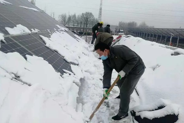 雪后怎么管理大棚蔬菜,清除积雪避免损伤棚膜