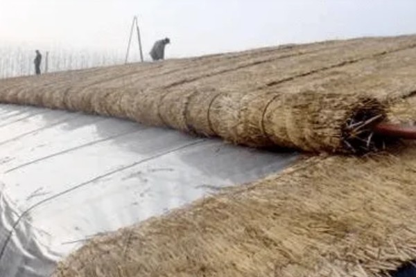 雪后怎么管理大棚蔬菜,清除积雪避免损伤棚膜