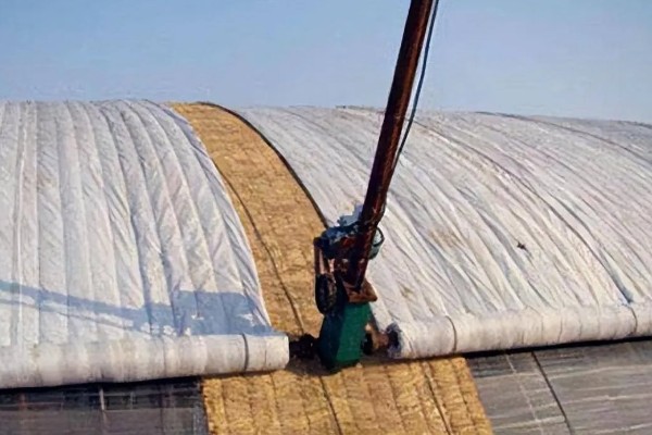 雪后怎么管理大棚蔬菜,清除积雪避免损伤棚膜