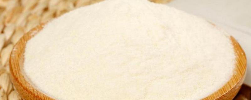 菊花粉的食用方法，用温开水冲服