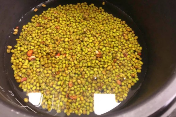 芽苗菜的种植方法，选种后要对种子进行浸泡