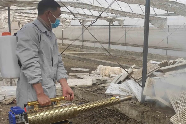 芽苗菜的种植方法，选种后要对种子进行浸泡