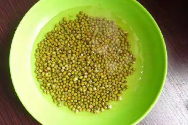 芽苗菜的种植方法，选种后要对种子进行浸泡