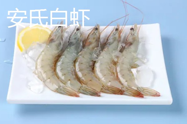 白虾苗的品种，常见的有脊尾白虾、秀丽白虾等