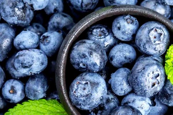 蓝莓可以保存多久，在不同温度环境中的保存期有区别