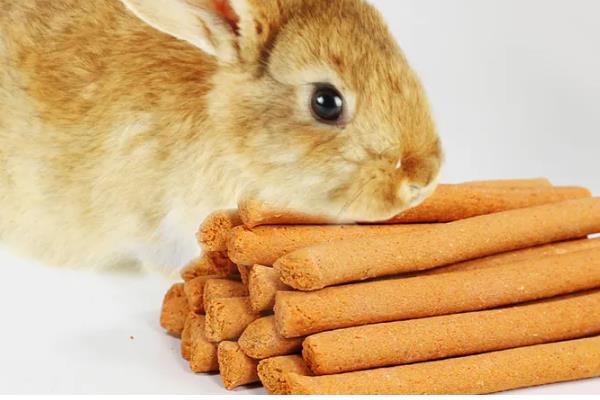 兔子牙齿咬合不正的危害，会引起咀嚼困难、食欲下降等