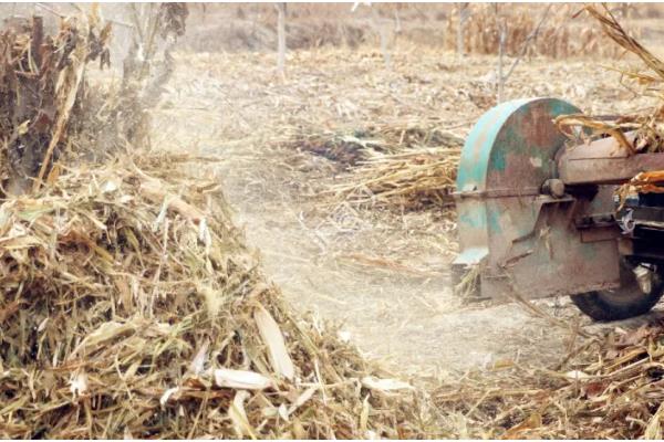 菜地土壤板结怎么办，多施农家肥可增加土壤的疏松度