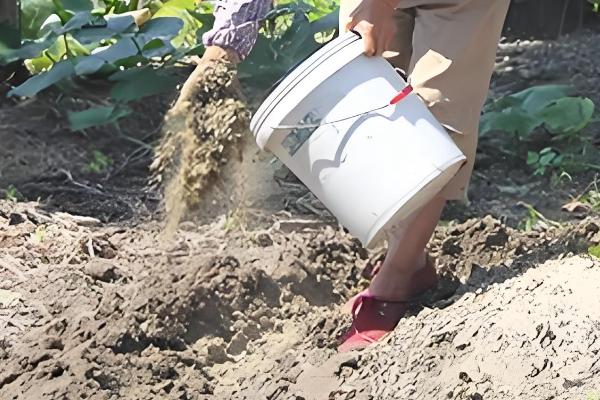 苦杏仁要施什么肥，要施用复合肥、果树专用肥等