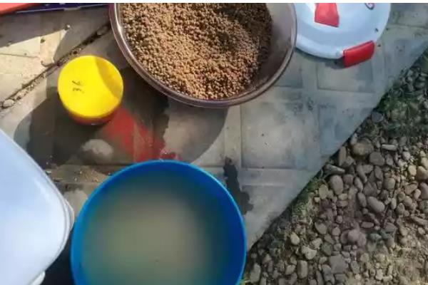 用哪种浮漂浮钓翘嘴，浮漂的浮力需足够大