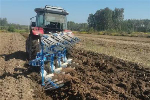 哈密瓜的催芽方法，浸种后放在湿毛巾上面并定时喷水