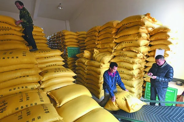 储存稻种的禁忌,主要有以下6点