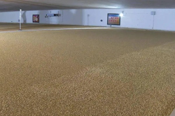 储存稻种的禁忌,主要有以下6点