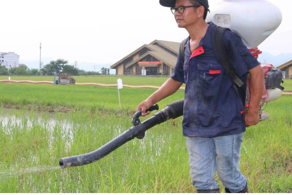 薏米如何种植，在播种前要浸种