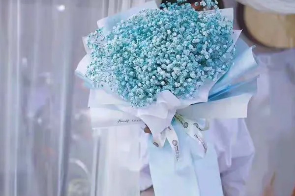 送花送满天星有哪些含义，寓意守望爱情、沉默爱情等