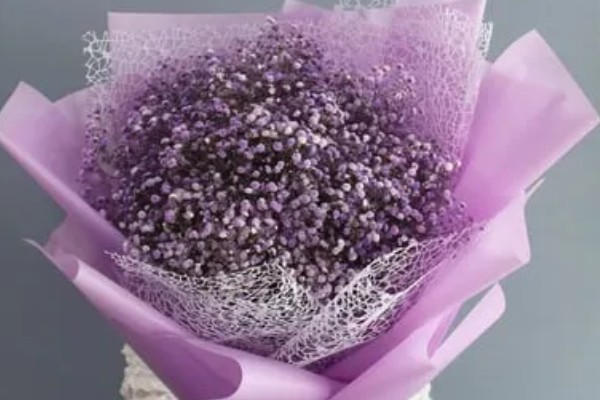 送花送满天星有哪些含义，寓意守望爱情、沉默爱情等