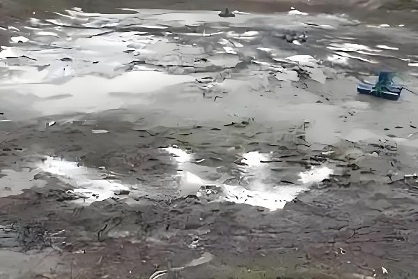 鱼塘多久消毒一次,每年要清塘一次
