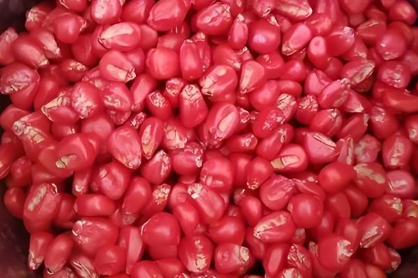 迪卡S1627玉米种的积温，在活动积温2200℃以上地区种植