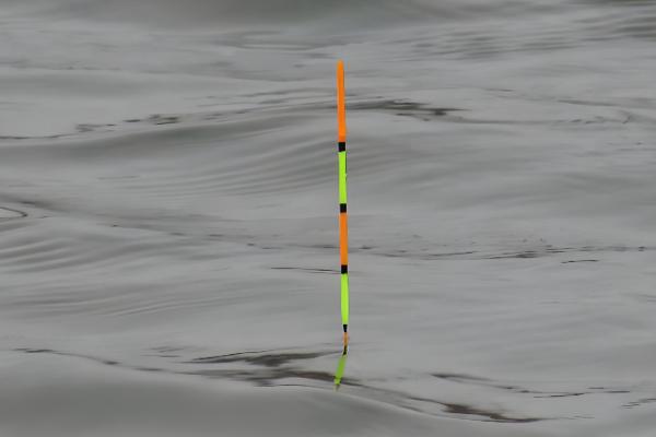 哪个牌子的变色夜光漂好，推荐川泽、化氏等