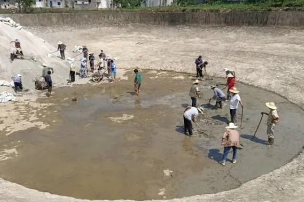 淡水小龙虾的养要点，水草种植面积应该不超过池塘40%