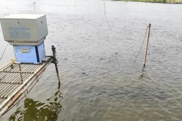 淡水小龙虾的养要点，水草种植面积应该不超过池塘40%