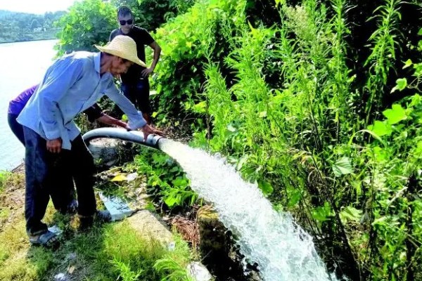 淡水小龙虾的养要点，水草种植面积应该不超过池塘40%