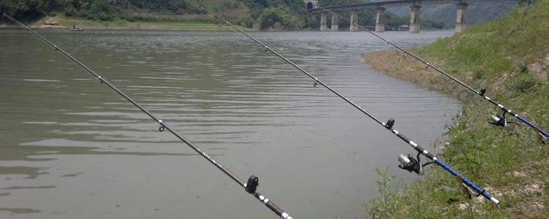 海竿怎么搭配鱼线，根据垂钓环境做选择