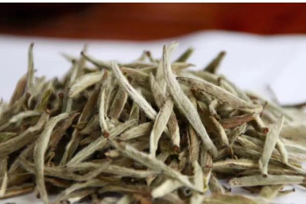 白茶的发酵程度,发酵程度在5-10%之间