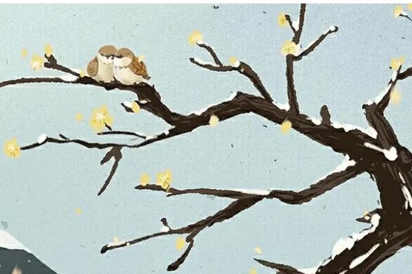 小寒吃什么食物，吃腊八粥是传统习俗