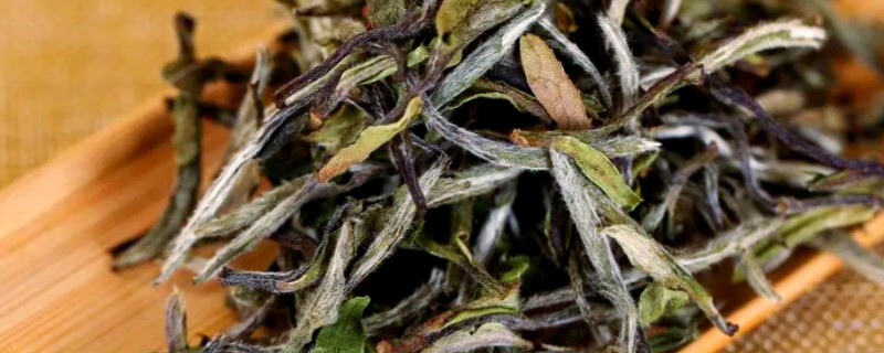 白茶的发酵程度，发酵程度在5-10%之间