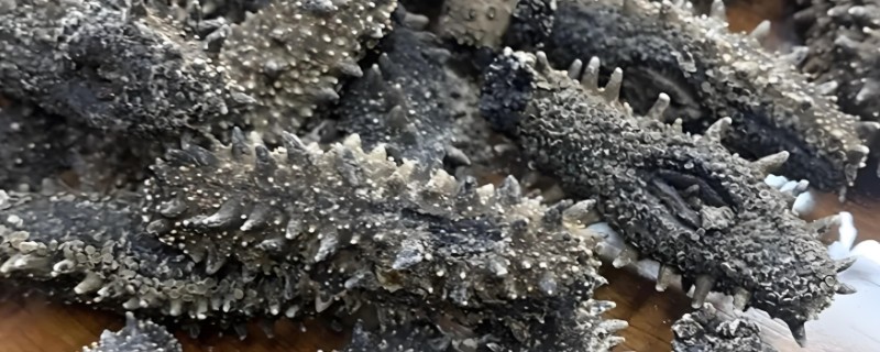 海参的保存方法，干海参放在通风干燥处即可