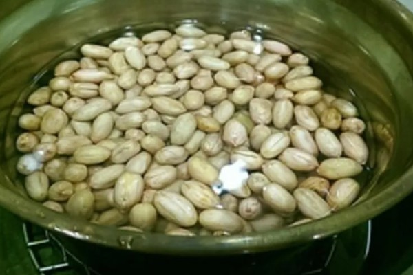 花生芽苗菜的种植方法，每天要淋水3-4次