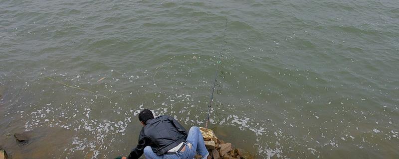 钓鳊鱼用什么钩型好，海夕钩是常用的钩型