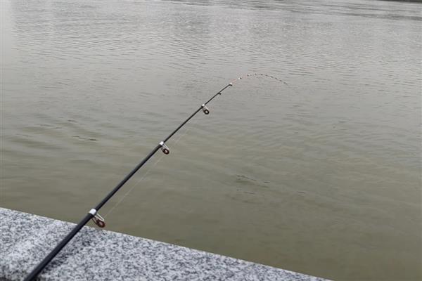 海竿怎么搭配鱼线，根据垂钓环境做选择